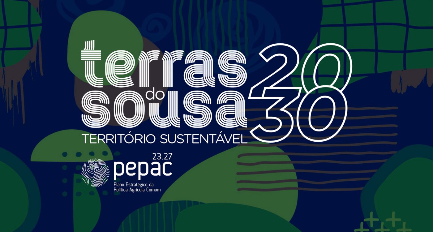 Ader-Sousa_Terras do Sousa 2030