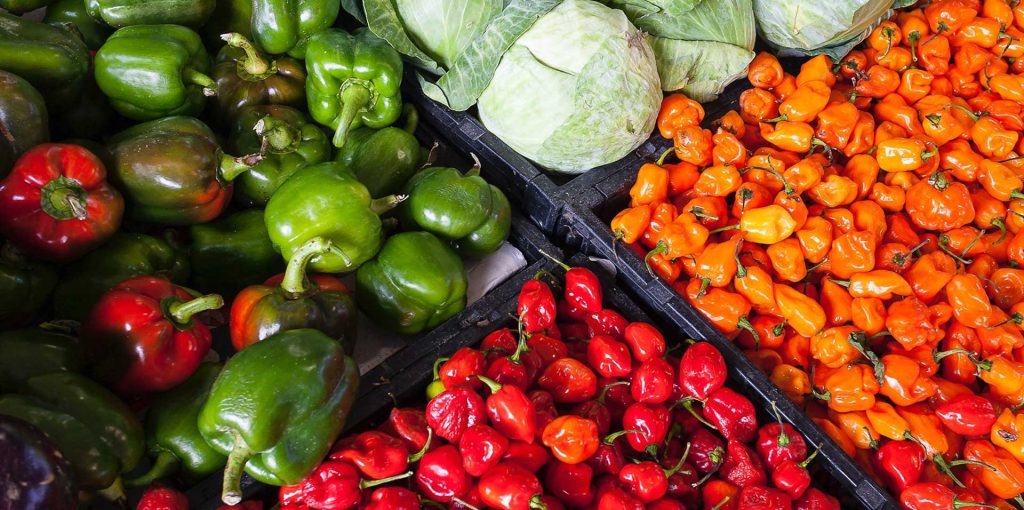 Adersousa-Agenda-Agricultura-2020-2030