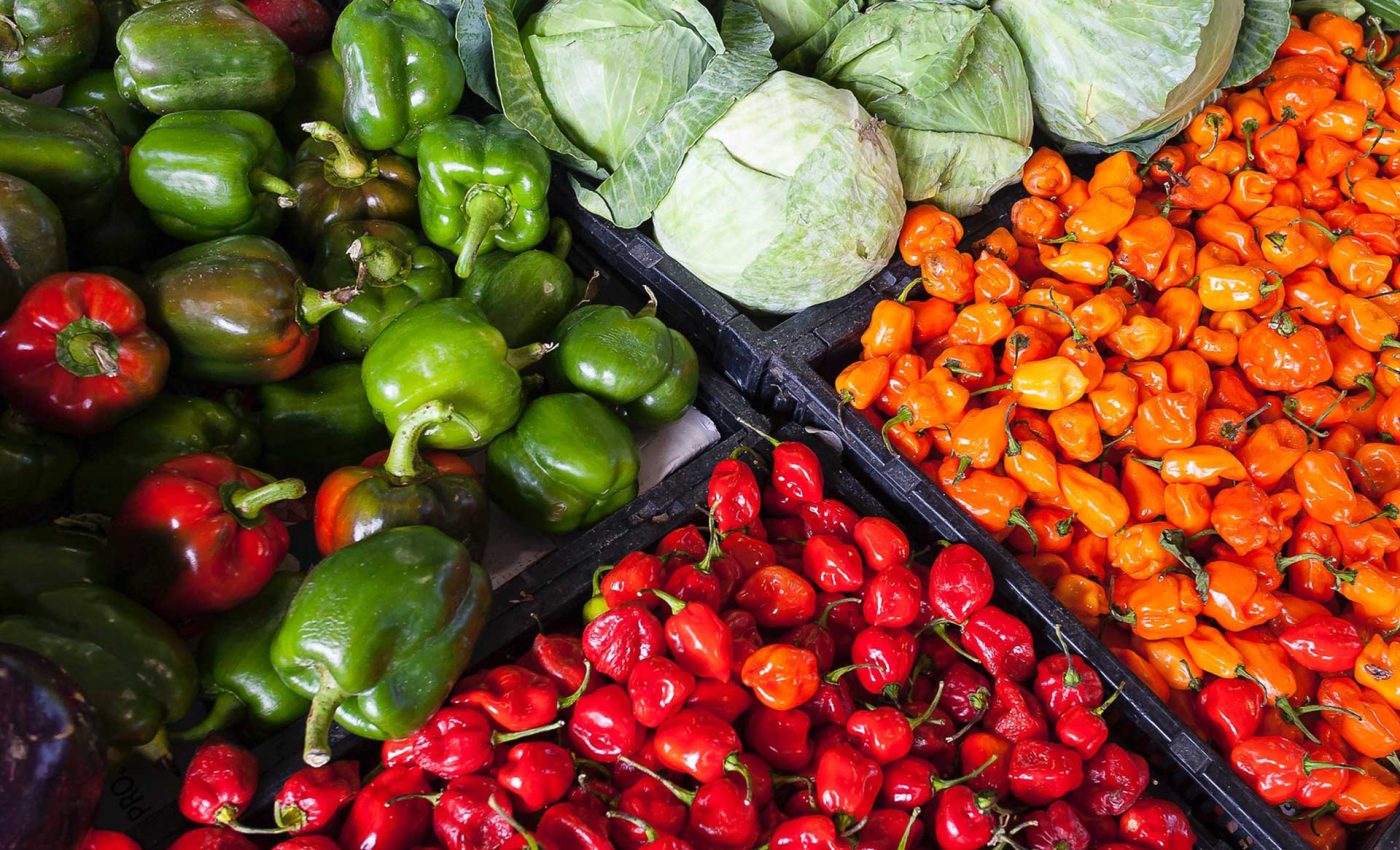 Adersousa-Agenda-Agricultura-2020-2030