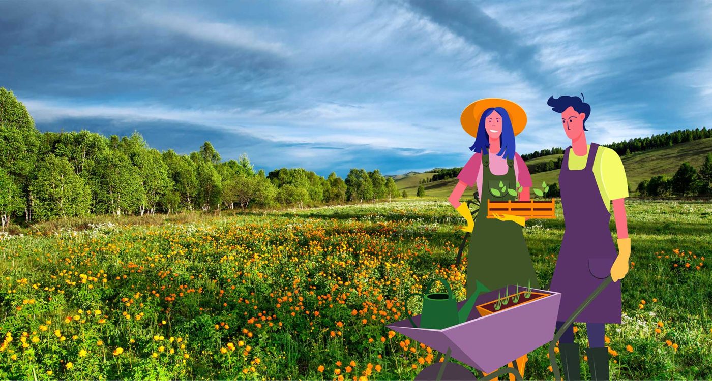 Agricultura-Sustentavel---Ader-Sousa