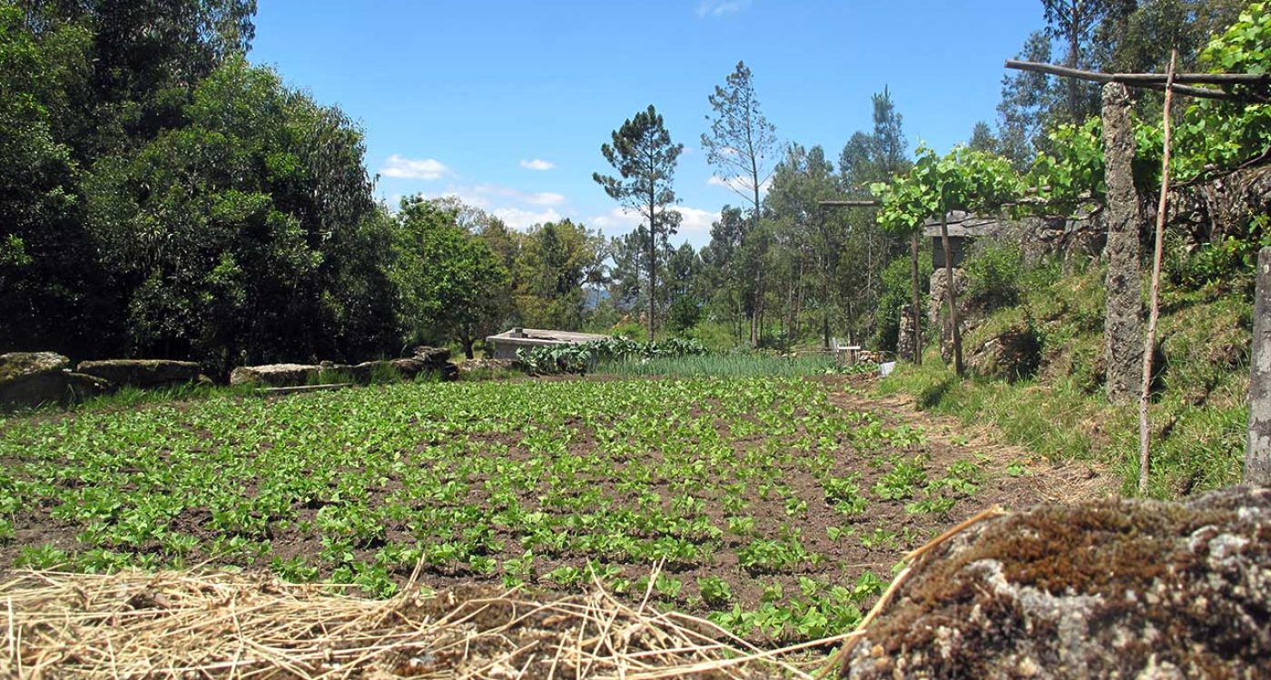 Aldeia-da-Figueira_Ader-Sousa_12