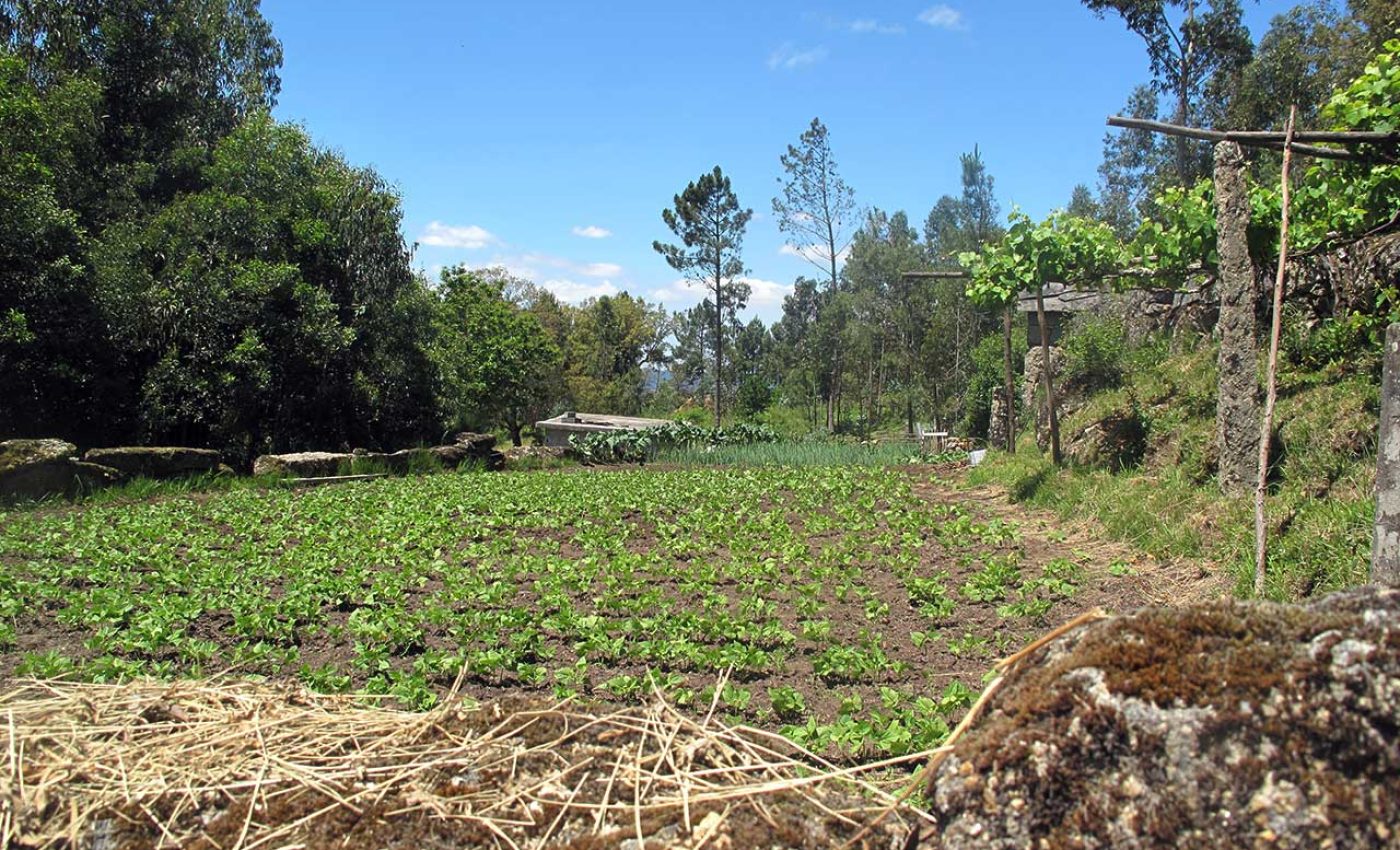 Aldeia-da-Figueira_Ader-Sousa_12