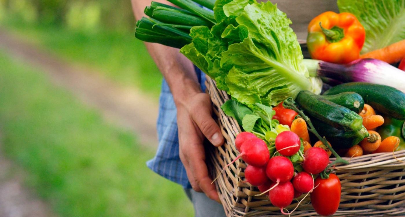 Alimente-Quem-o-Alimenta