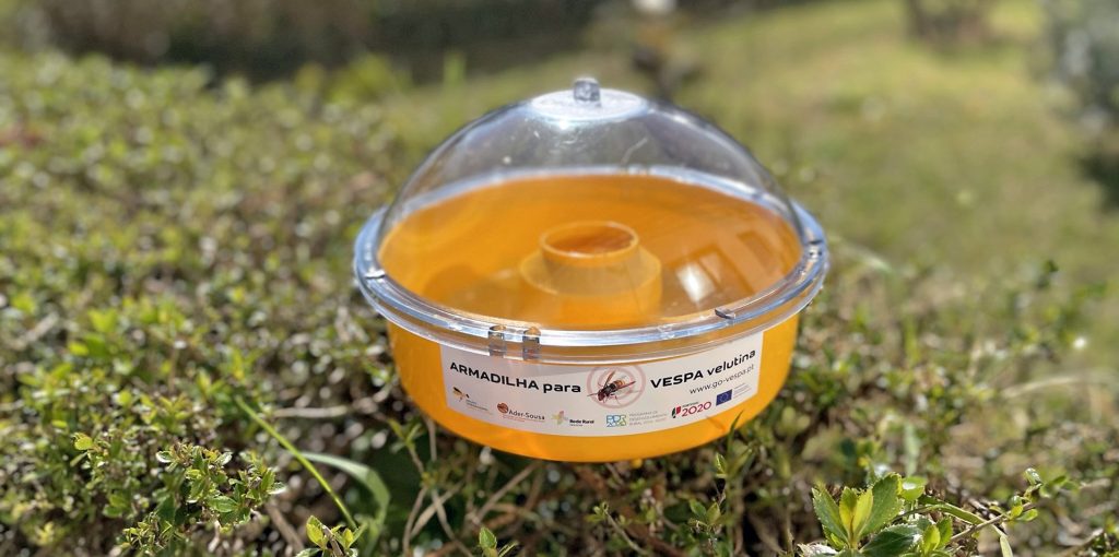 Armadilha para Vespa Velutina - Ader-Sousa