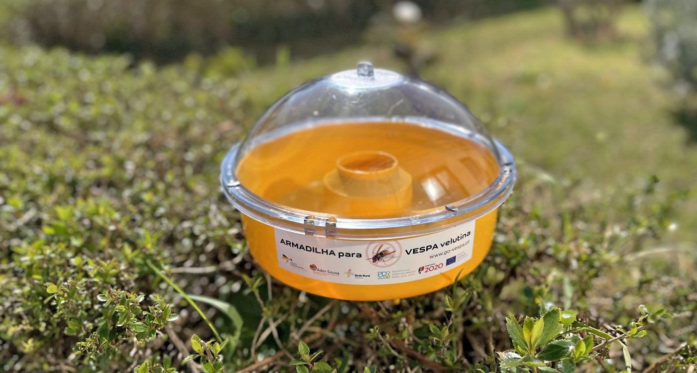 Armadilha para Vespa Velutina - Ader-Sousa