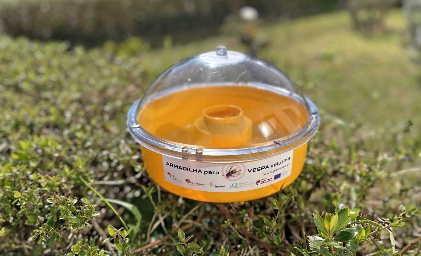 Armadilha para Vespa Velutina - Ader-Sousa