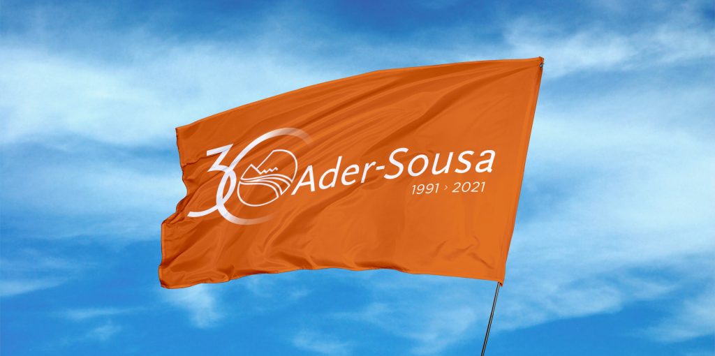 BANDEIRA---ADERSOUSA-30-ANOS_web