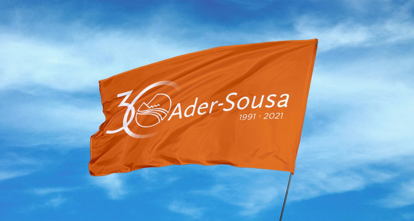 BANDEIRA---ADERSOUSA-30-ANOS_web