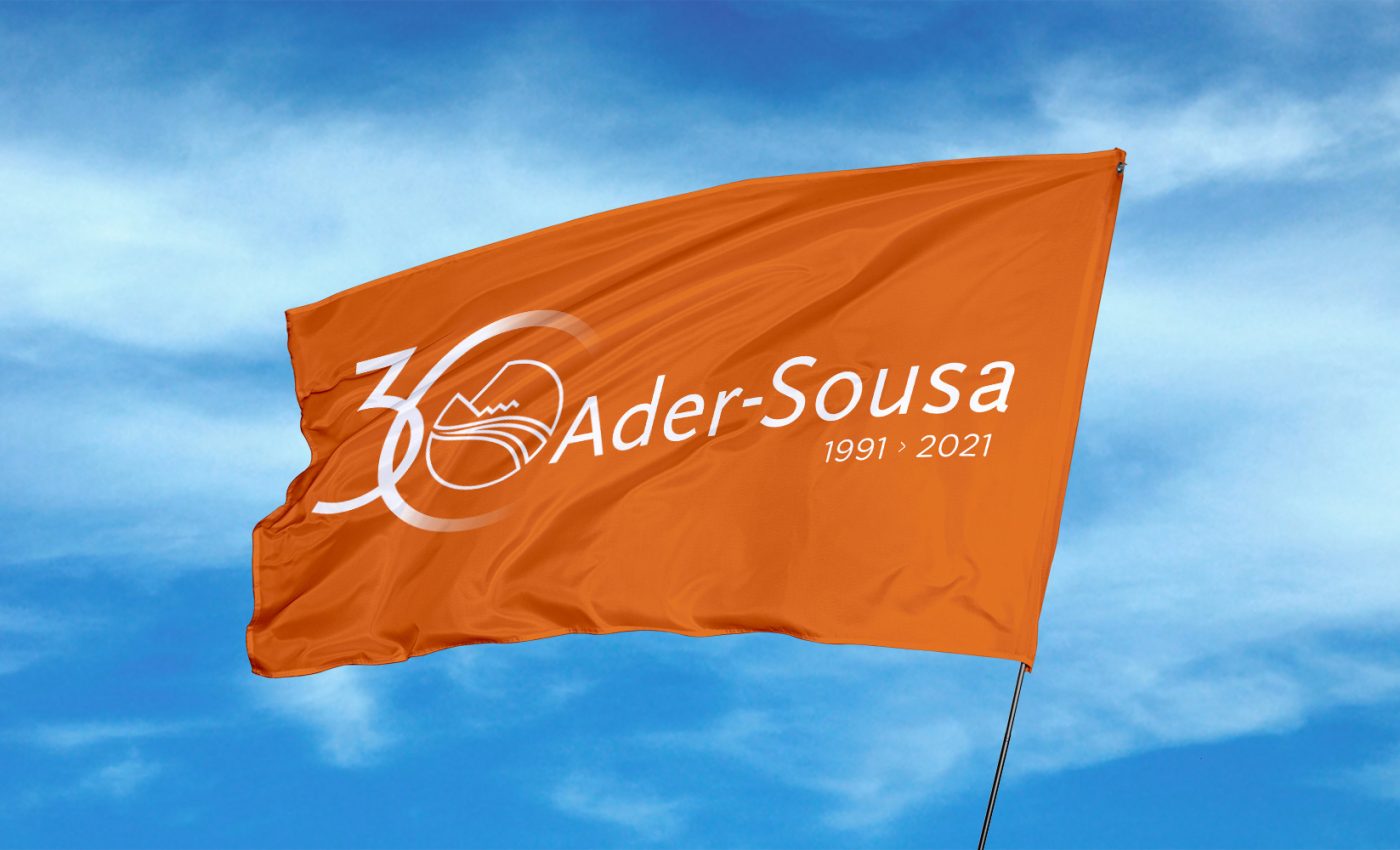 BANDEIRA---ADERSOUSA-30-ANOS_web