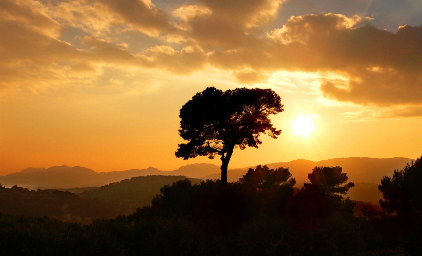 Banner-Ader-Sousa---Uma-Pegada-de-Desenvolvimento-nas-Terras-do-Sousa