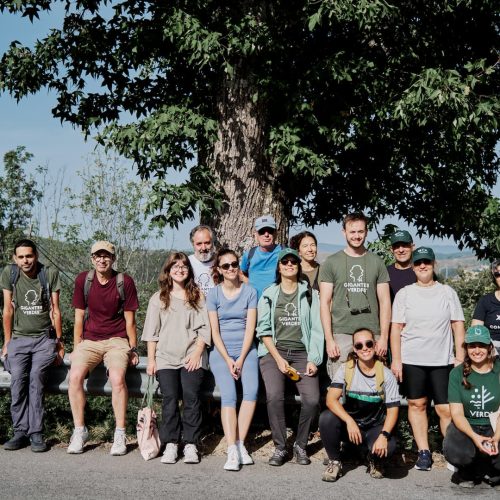 Caminhada em Penafiel mapeia mais 42 Gigantes Verdes