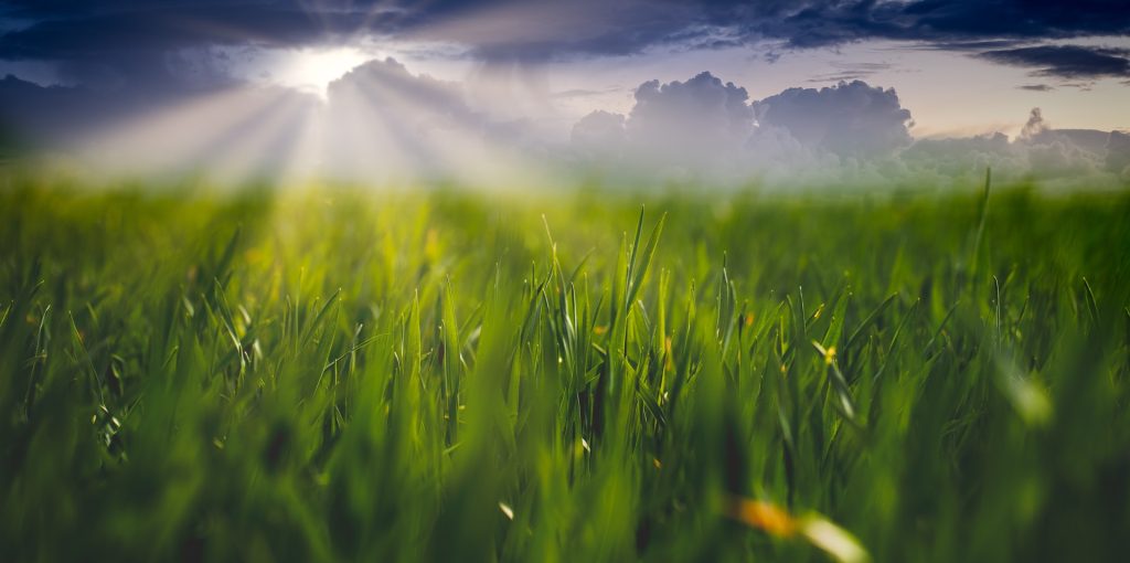 Desenvolvimento Local - Ader-Sousa