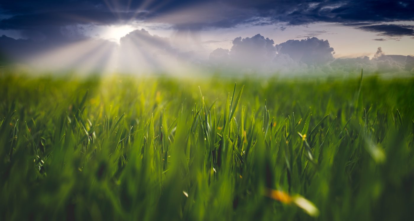 Desenvolvimento Local - Ader-Sousa