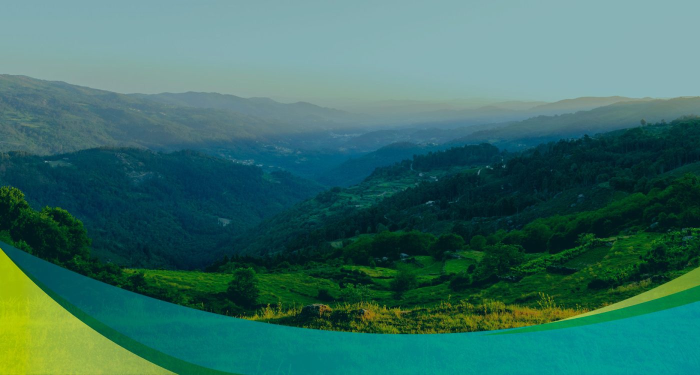 Emer-N_Ader-Sousa_Banner_Novo