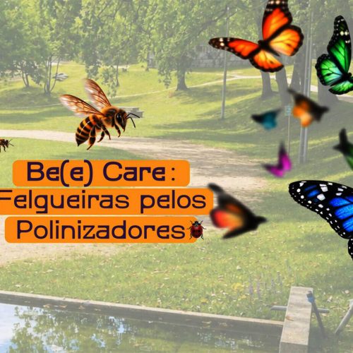 Encontro-de-Protetores-da-Biodiversidade-e-da-Importancia-dos-Polinizadores_Ader-Sousa_2