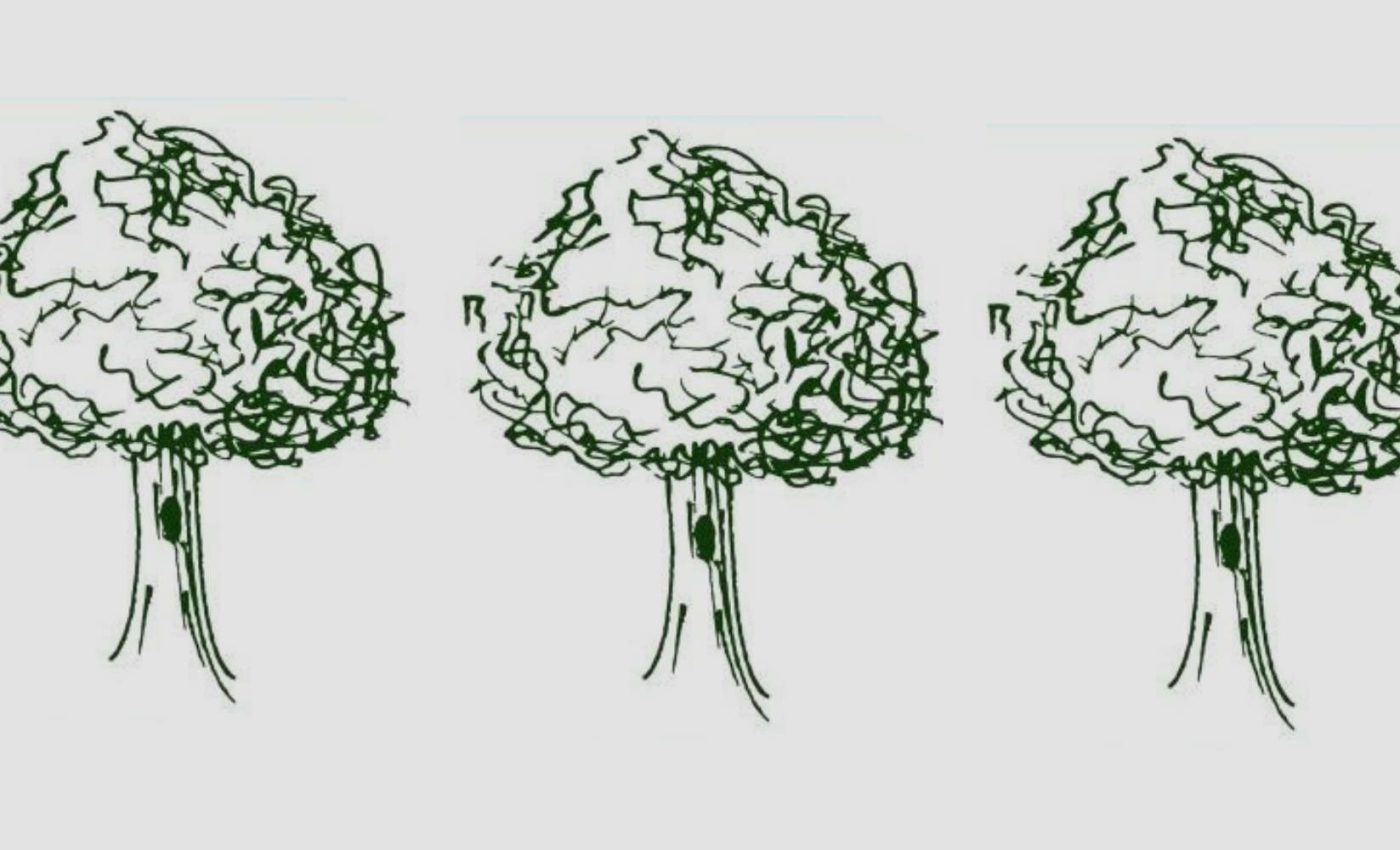 Gigantes-Verdes_AS_Banner