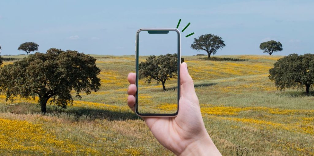 Header-site-1440-x-528-px