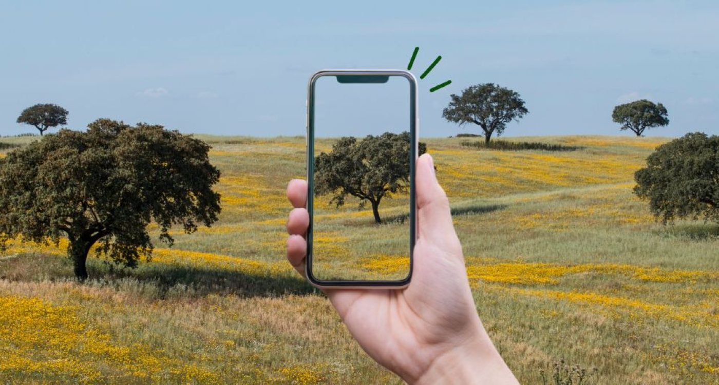 Header-site-1440-x-528-px