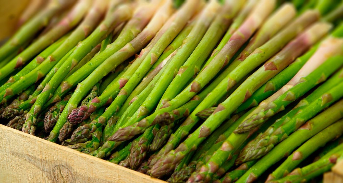 Imagem Encontro Nacional dos Produtores de Espargo