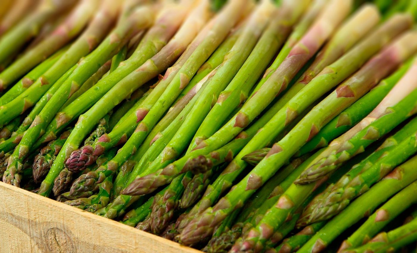 Imagem Encontro Nacional dos Produtores de Espargo