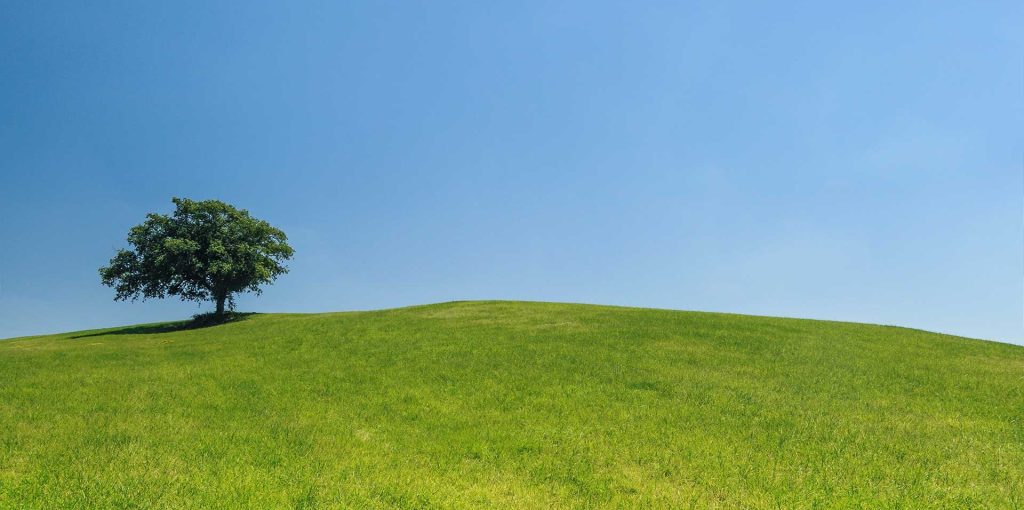 Incentivos-Financeiros---Ader-Sousa-2023