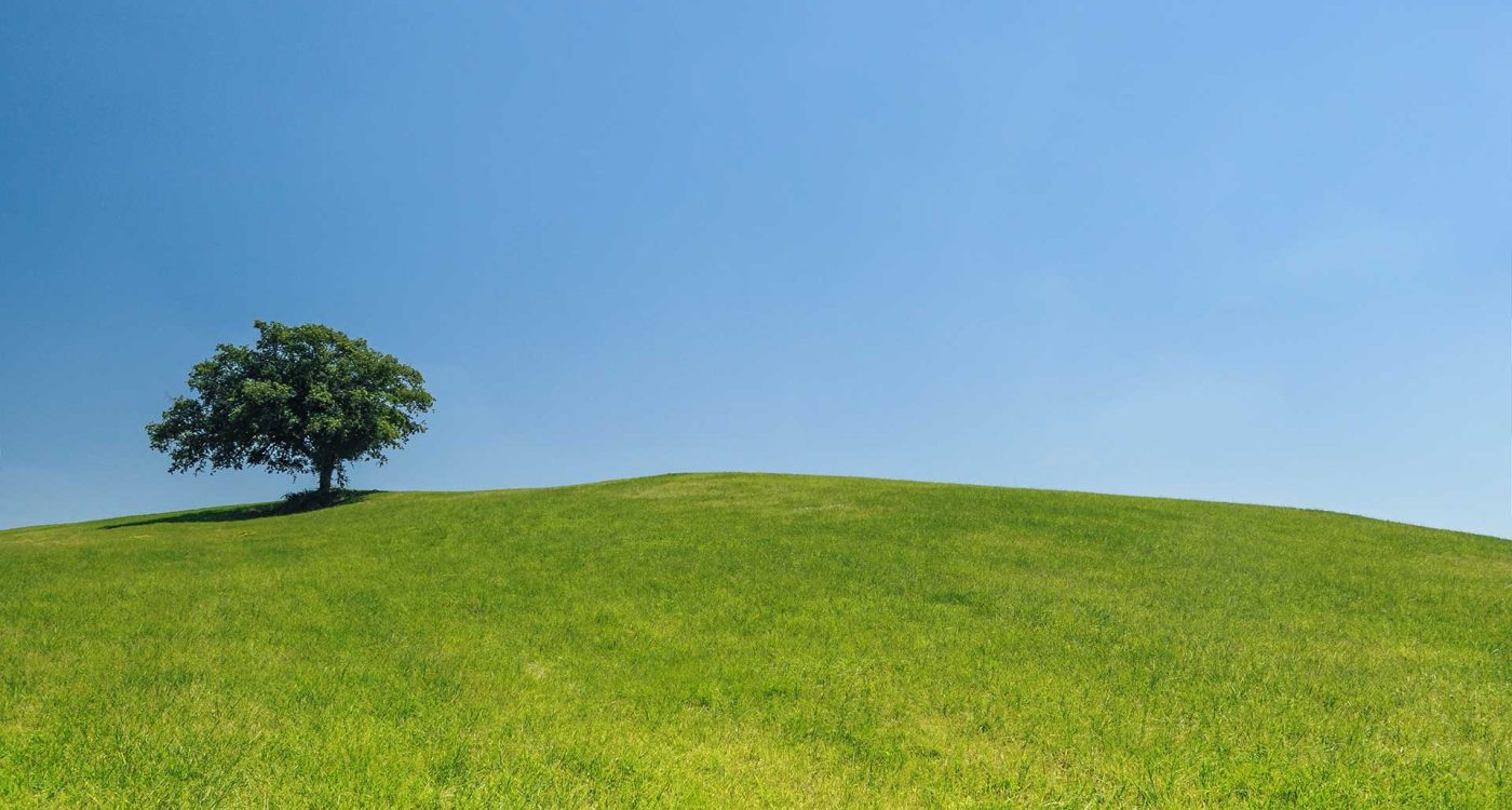 Incentivos-Financeiros---Ader-Sousa-2023