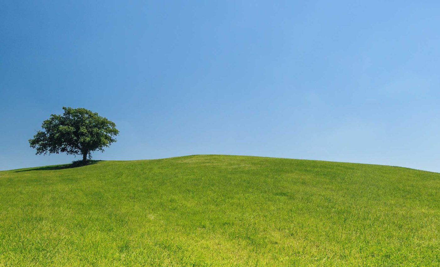 Incentivos-Financeiros---Ader-Sousa-2023