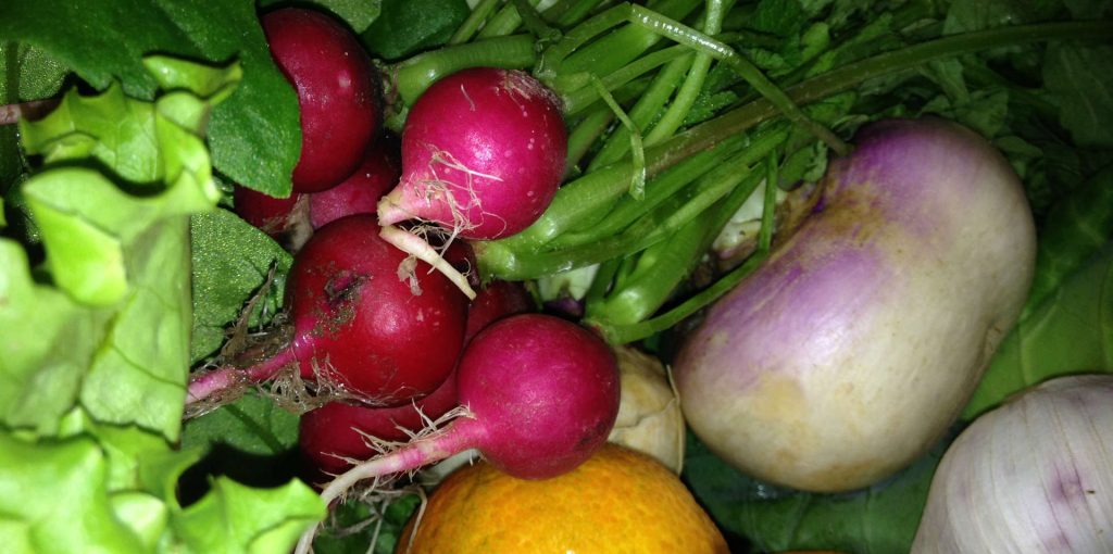 PROVE 2018 adersousa1