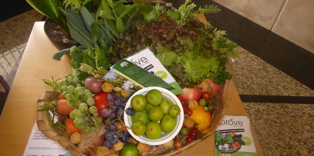 PROVE - CMPAREDES ADERSOUSA 2022.BANNERjpg