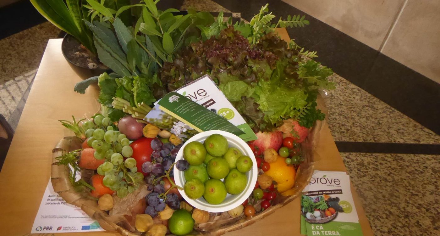 PROVE - CMPAREDES ADERSOUSA 2022.BANNERjpg