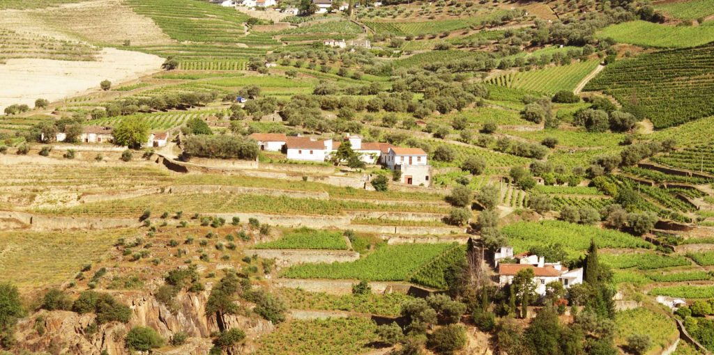 Seminário AGAVEL 2021 ADERSOUSA