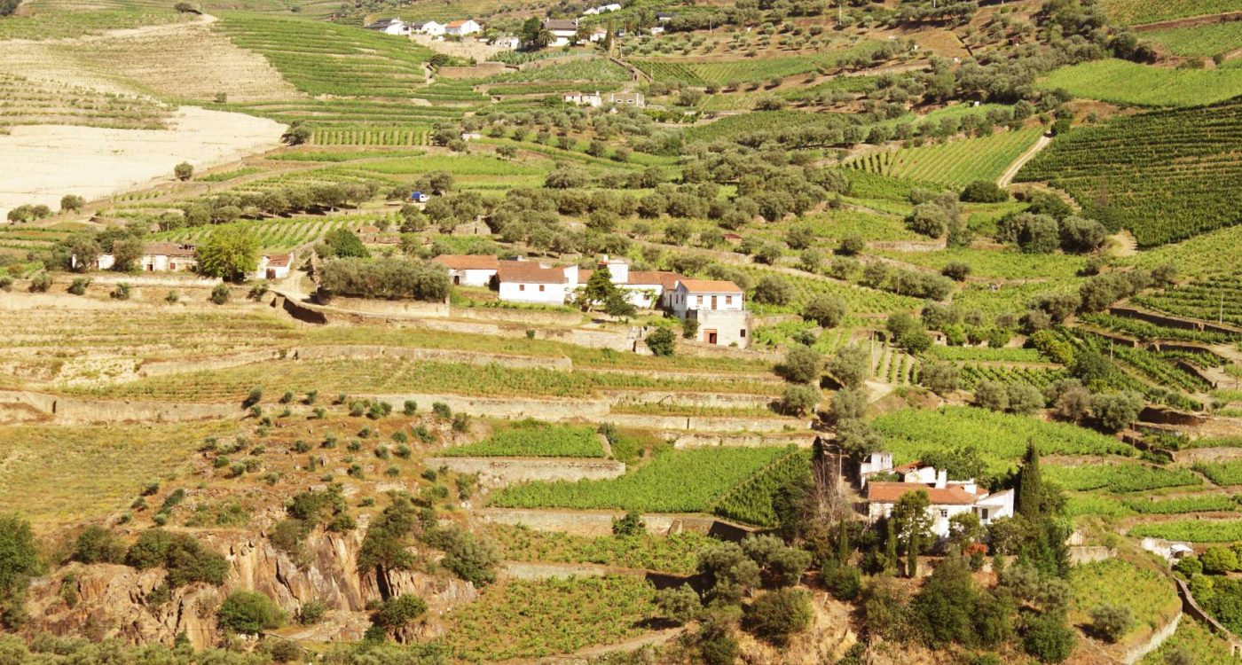 Seminário AGAVEL 2021 ADERSOUSA