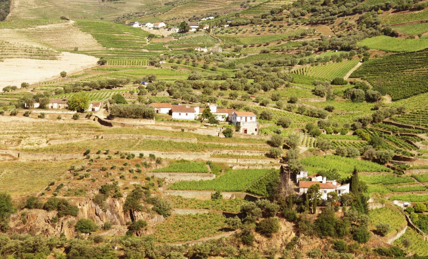 Seminário AGAVEL 2021 ADERSOUSA