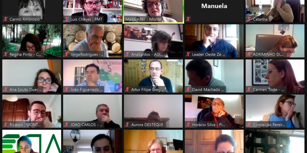 Videoconferencia-MinhaTerra