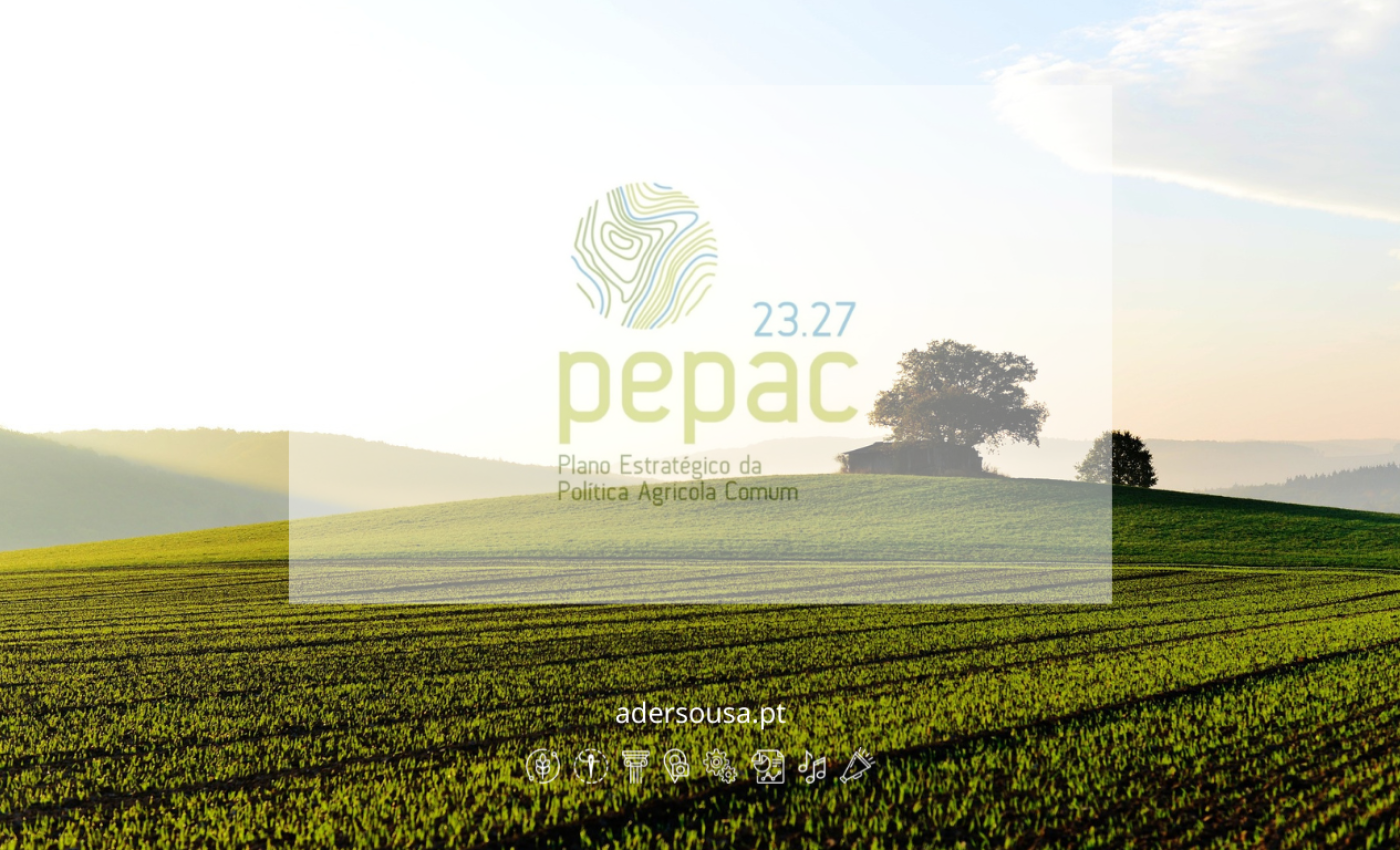 Website Citação Longa com Botão e Imagem de Fundo Branco Preto (1)