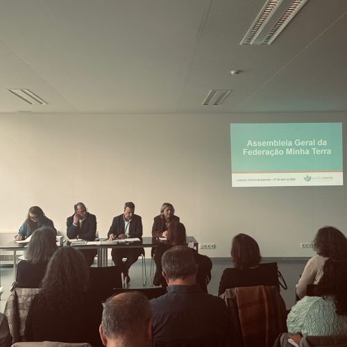 WhatsApp Image 2026-04-08 at 11.51.57 (1)