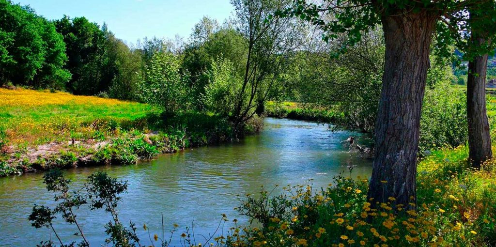 ader-sousa-terras-sousa