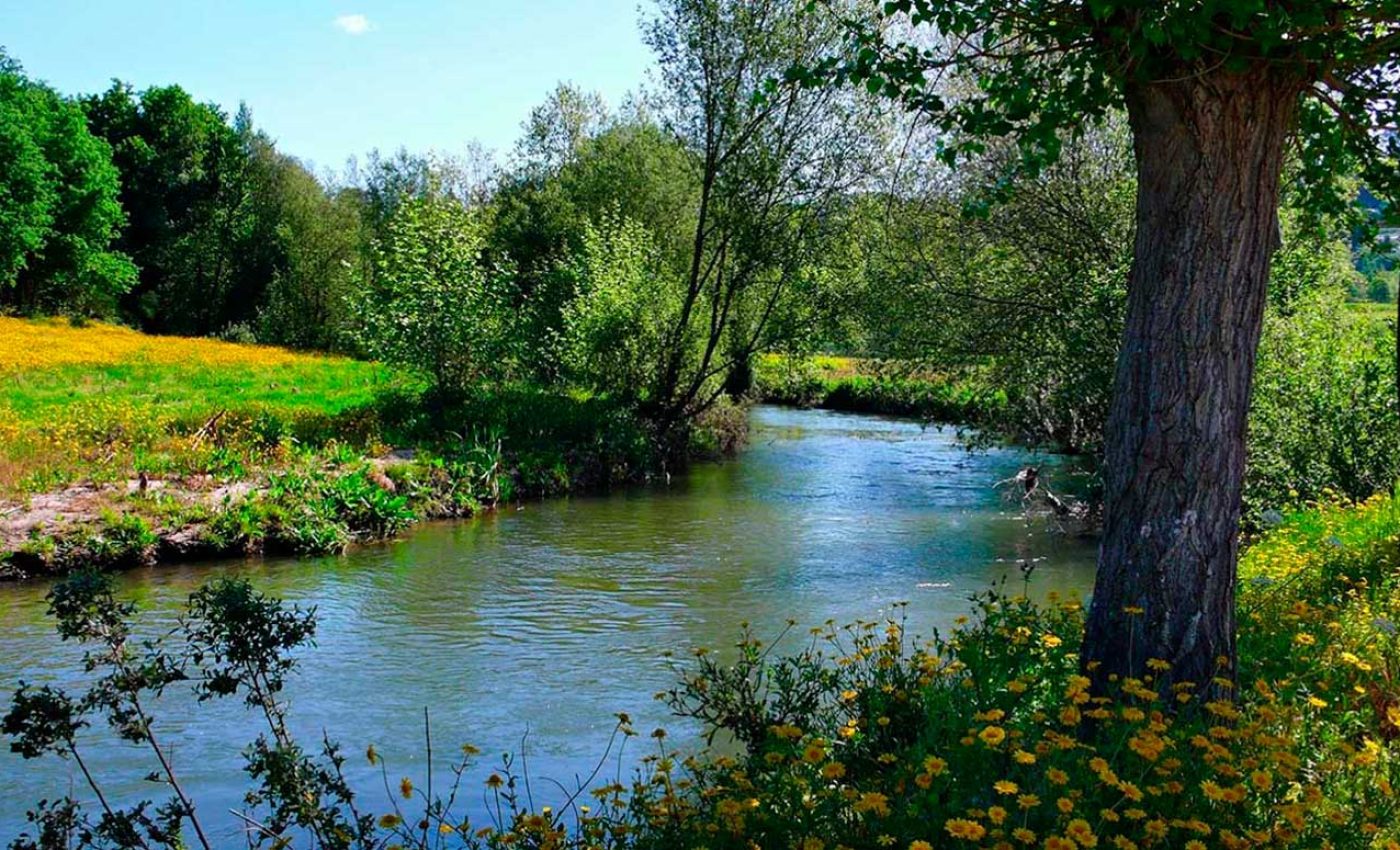 ader-sousa-terras-sousa