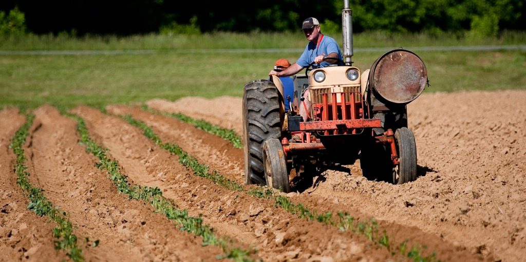 pexels-mark-stebnicki-2252618