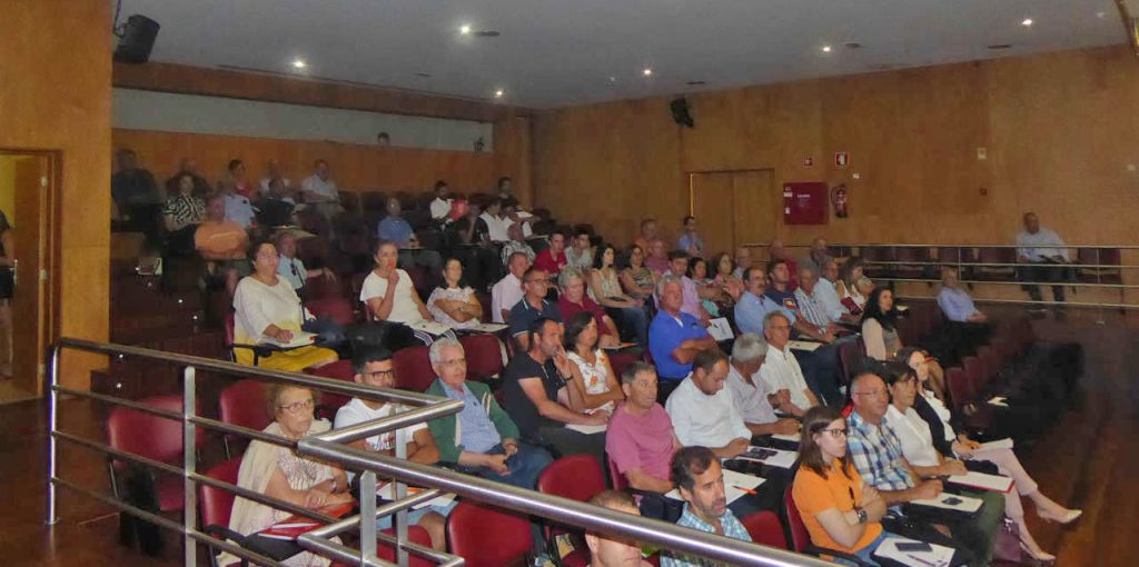 vespavelutina 2019 ADERSOUSA.1jpg