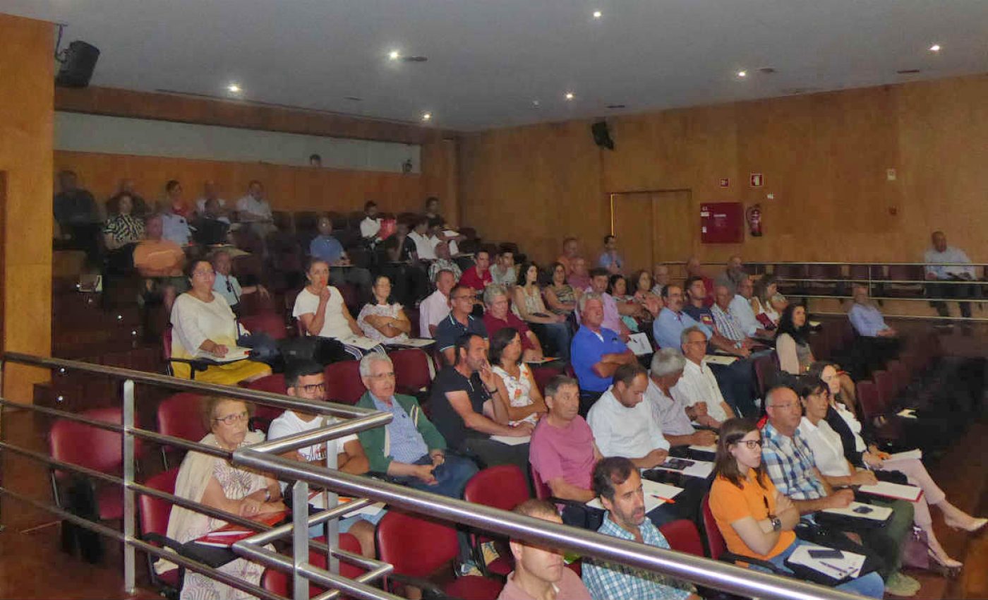 vespavelutina 2019 ADERSOUSA.1jpg